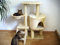 Silvio Design Kratzbaum Jack beige