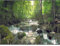 PerfectHD Zaunsichtschutz - Motiv Wasserfall - Sichtschutz für den Garten - 2,50 x 1,80 x 0,19 m - 9 Streifen - 30 Varianten