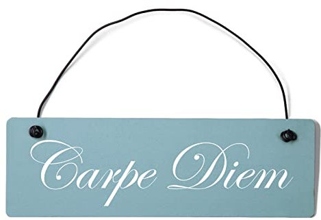Homeyourself Carpe Diem Dekoschild Türschild gelb mit Draht