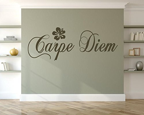 Wandtattoo Wohnzimmer ~ Text CARPE DIEM - Nutze den Tag, Sprüche ~ 610004-55x20 cm Wandaufkleber Sticker Aufkleber für die Wand Tapetensticker, Türaufkleber