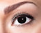 Zoelibat Eyecatcher Motivlinsen - Black Witch m01 - farbige 3-Monats-Kontaktlinsen - Schwarz zu Hexen und Halloween Kostümen