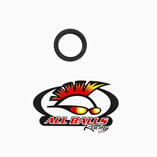 All Balls Double joint à lèvres