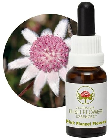 Pink Flannel Flower 15 ml Stockbottle Australian Bush Flower Essences
