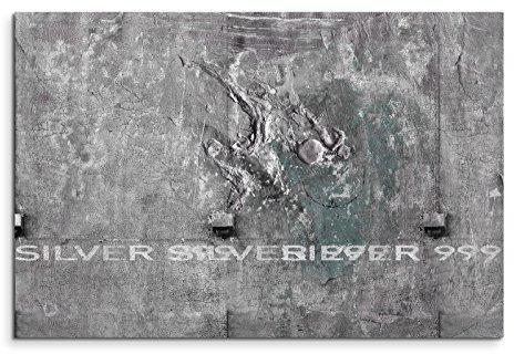 Paul Sinus Art 80x60cm Fotoleinwand Leinwanddruck Kunstdruck Wandbild grau weiß Struktur