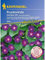Ipomoea purpurea Prunkwinde Grandpa Ott dunkelblau