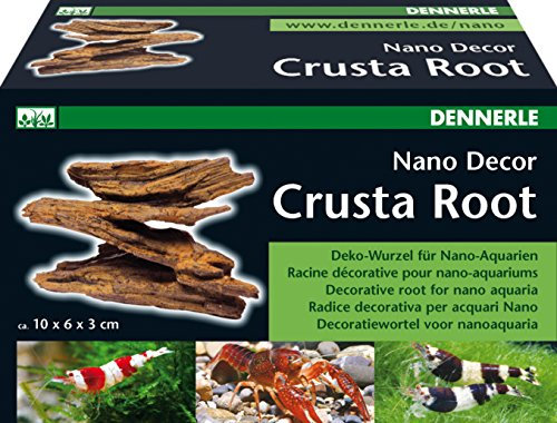 Dennerle 5880 Nano Crusta Root, S