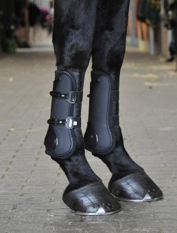 BUSSE Gamaschen-Set FLEXIBLE, schwarz, Vollblut/Warmblut