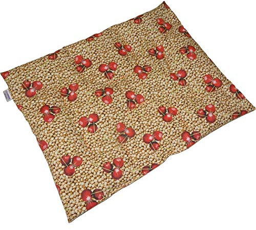 KIRSCHKERNKISSEN 20x30 cm mit Flausch bordeaux 1 St