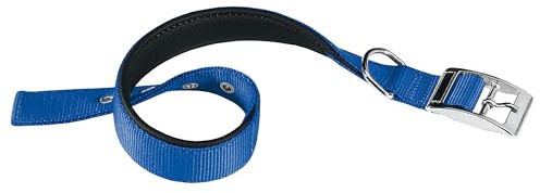 Ferplast Hundehalsband für kleine Hunde, verstellbar, gepolstert, Nylon, Metallschnalle, Halsumfang 23–31 cm, Blau