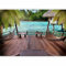 murando Fotomurales 300x210 cm XXL Papel pintado tejido no tejido Decoración de Pared decorativos Murales moderna de Diseno Fotográfico naturaleza playa 10110903-11