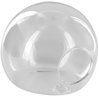 Jarrones de Pared Colgante Florero de Cristal Botella para Decoraciones Flores Plantas