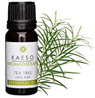 Kaeso Aromatherapy Essential Oil, Tea Tree 10 ml