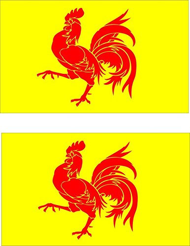 Akachafactory 2 x Autocollant Sticker Voiture pc Vinyl Drapeau Belgique Belge wallonie