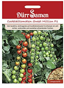 Dürr-Samen - Kirsch-Tomaten Sweet Million F1 Saatgut