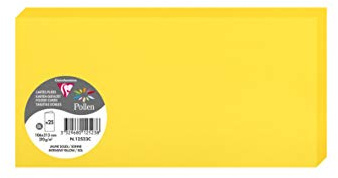 Clairefontaine 12523C Packung mit 25 Doppelkarten, gefaltet, 210g, in Format DL, 106 x 213mm, Sonne