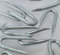 Galvanised Staples (CHOOSE YOUR NAIL SIZE) (CHOOSE YOUR PACK SIZE) Fencing Netting U Staple Nails (50, 40mm)