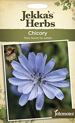 Johnsons 12422 Herb Seeds, Chicory