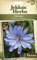 Johnsons 12422 Herb Seeds, Chicory