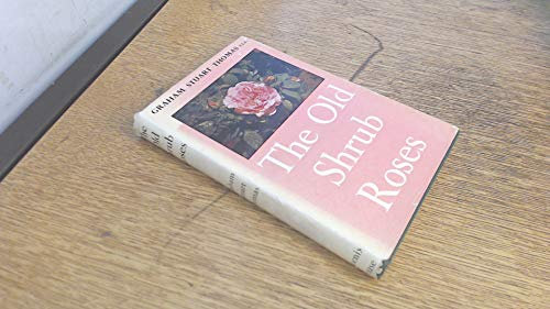 The old shrub roses