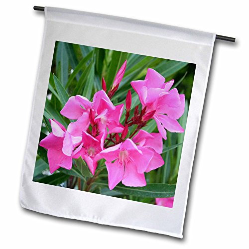 3dRose fl_46849_1 Oleander Pink-Pink, Flower, Tree, Oleander, Blossom, Tropical Plant, Buds Garden Flag, 12 by 18-Inch