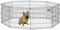 MidWest Homes for Pets 550-24 Laufstall und Spielgehege für Hunde, mit Tür, 61 x 61 cm, schwarze E-Beschichtung