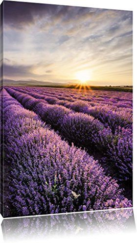 Pixxprint Traumhafte Lavendel Provence, Größe: 120x80cm, Leinwandbild, fertig gespannt, Wandbild, Dekoration, Kunstdruck, kein Poster