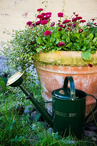 KUHEIGA Gießkanne 5 L Grün Feuerverzinkt Zinkkanne Zinkgießkanne Metall