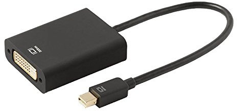 TECHLINK iWires Mini Display Port to DVI Adapter Cable