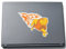 INDIGOS UG Laptop Aufkleber Löwe 187mmx150mm - Laptopaufkleber selbstklebend - Notebook - Laptopfolie für Deckel