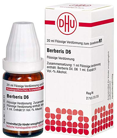 BERBERIS D 6 Dilution 20 ml