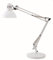 Alba Architect Desk Lamp, White (Archi BC)