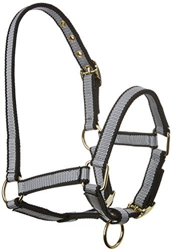 Kerbl Halfter Exclusiv-Fohlenhalfter mit Dornschnalle, Grau, 32263