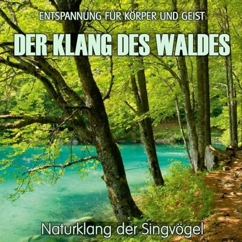 Electric Air Project: Klang des Waldes/CD