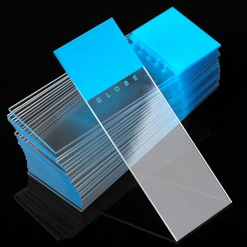 Globe Scientific Diamond White Glass Microscope Slides, 1380-50B, Blue Frosted, Ground Edges, 90° Corners, 25mm x 75mm, Pre-Cleaned, 72/Box, 1440/CS