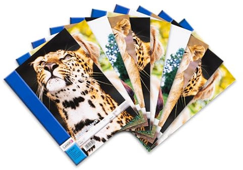 Landré Zeichen-Block A4, 20 Blatt, 100 g/m², perforiert, 4 Tier-Motive, 10 Stück