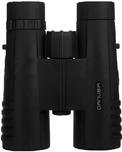 Dörr Danubia 533517 Dachkant Fernglas Bussard I 10x56 schwarz