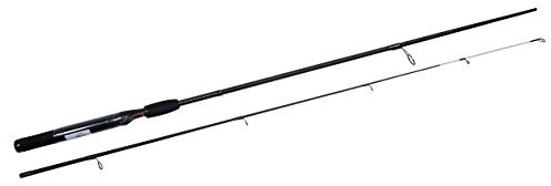 Shakespeare Ugly Stik Spin Rod Casting Weight (2 Piece) - Black, 10 ft/20 - 80 g