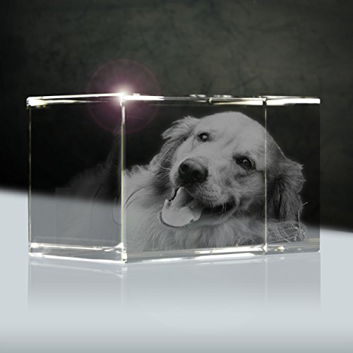 3D Laser Foto Glas | Quader 56mm | 1 Person oder Tier zB als Geschenk für Hund & Katze