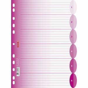 Brunnen 10 x Register Colour Code A4 6-teilig PP blanko pink