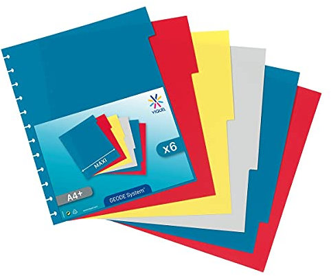 Viquel - Lot de 6 intercAlaires A4+ GEODE en plastique pour porte vues à pochettes amovibles