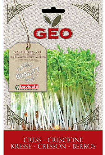 Geo Berros Semillas para germinar, Marrón, 12.7x0.7x20 cm