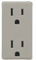 Leviton RKR15-WS Renu 15 A Prise résistante à l'inviolabilité Changement de couleur Kit de changement de couleur fumée de bois