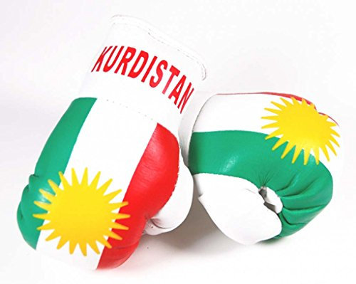 Doktor Hardstuff Mini Boxhandschuhe - Kurdistan