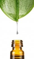 Odex HT Deowirkstoff, 10ml von Dragonspice Naturwaren, 10ml