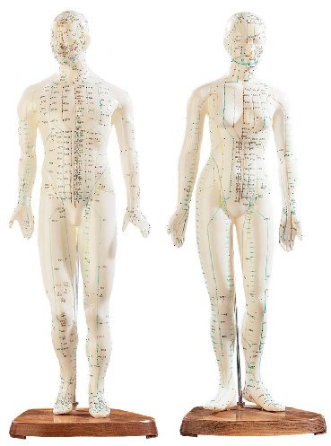newgen medicals Akupunkturpuppen: Akupunktur-Figuren 2er-Set (Mann/Frau) (Akupunktur Modell, Modell Frau, Gesundheit)