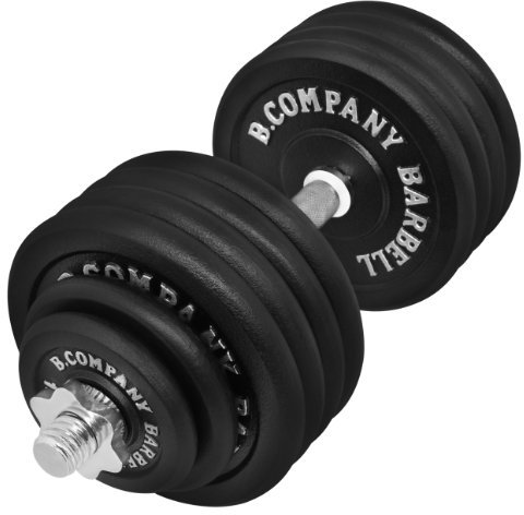 Guss Kurzhantel-Set 50Kg (1 x Kurzhantelstange 51cm, 2x1,25, 2x2,5 und 8x5Kg Hantelscheiben) Hantelset Hanteln Gewichte