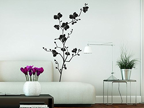 Klebeheld® Wandtattoo Orchidee (Farbe schwarz/Größe 35x60cm)