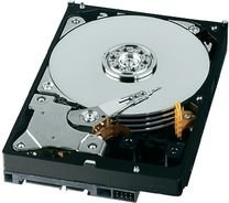 Western Digital WD20EADS Caviar Green Festplatte 2 TB S-ATAII / 300 32.0 MB