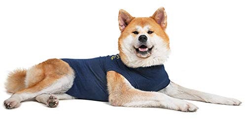 MPS Medical Pet Shirt, Hund, Blau, für extra große Hunde