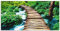 ARTland Wanddeko Wandbild Alu Verbundplatte für Innen & Outdoor Bild 60x30 cm Natur Landschaft Dschungel Urwald Regenwald Pflanzen T3GH